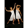 GR13 - Robe argent Dionysos