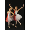 MTC15 - Jupe de tutu rouge et blanc avec justaucorps