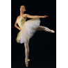 MTC6 - Jupe de tutu or avec justaucorps