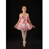 GTC10B - Tutu demi plateau blanc habillé rose