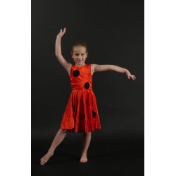 PR12 - Robe coccinelle