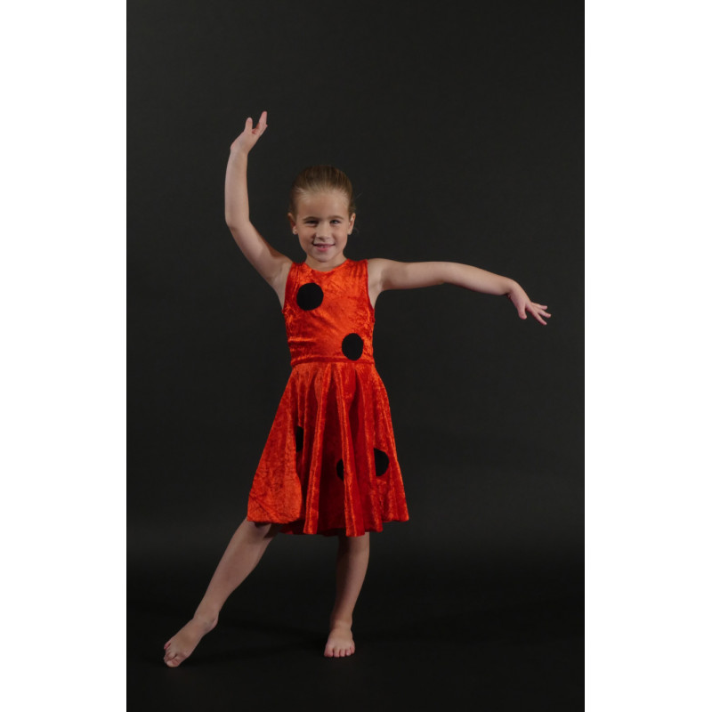PR12 - Robe coccinelle PR12 - Robe coccinelle