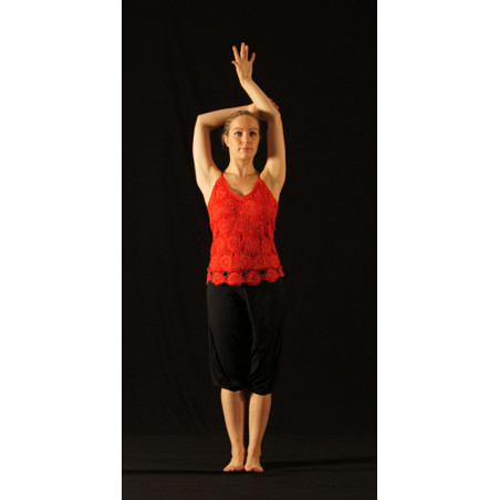 GH20C - Haut en dentelle rouge