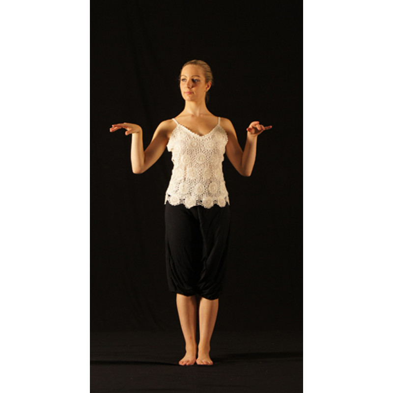 GH20B - Haut en dentelle blanche GH20B - Haut en dentelle blanche