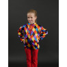PH7 - Chemise Arlequin