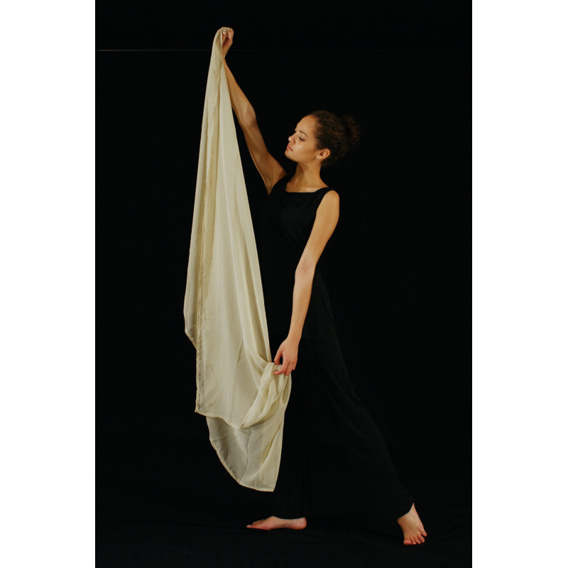 ACCV1 - Voile beige ACCV1 - Voile beige