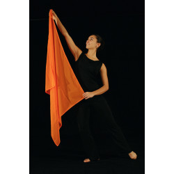 ACCV2- Voile orange