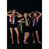 ACCCR3A - Assortiment de cravates en satin de couleurs