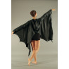 ACCA2 - Ailes de chauve souris