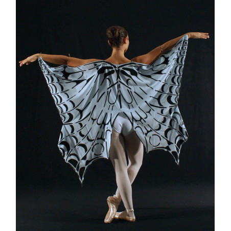 ACCA5H - Ailes de papillon en satin bleu ciel